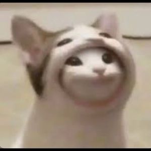 Meet your Posher, Osmar